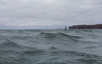 Bericht Helgoland 2021 – Bild 7