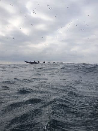 Bericht Helgoland 2021 – Bild 4